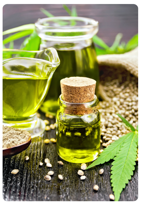 graines de cannabis